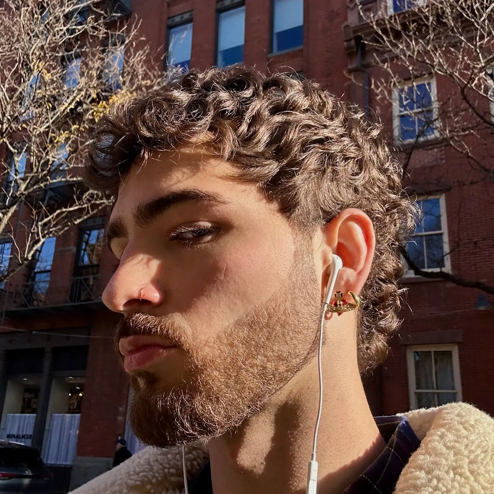 Profile