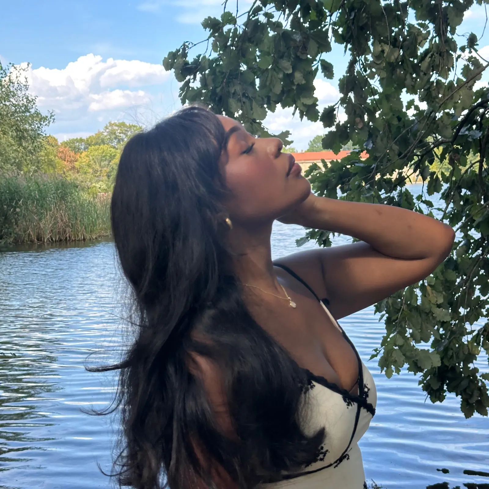 Profile