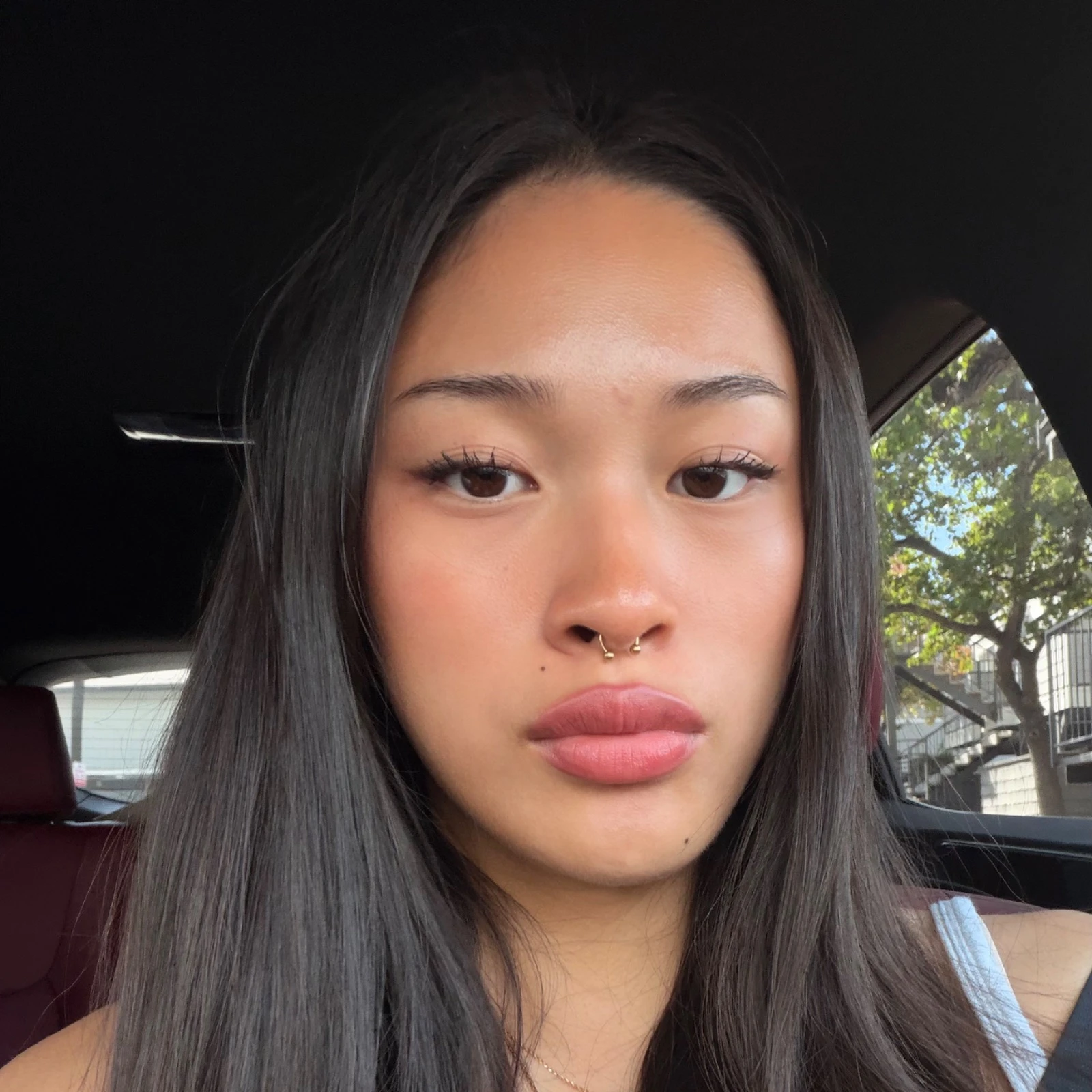 Profile